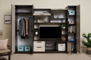 Гостиная "Флора" фото 2696