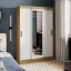 Шкаф-купе "Тео" t('фото') 2596