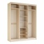 Шкаф-купе «Маэстро»  t('фото') 2581